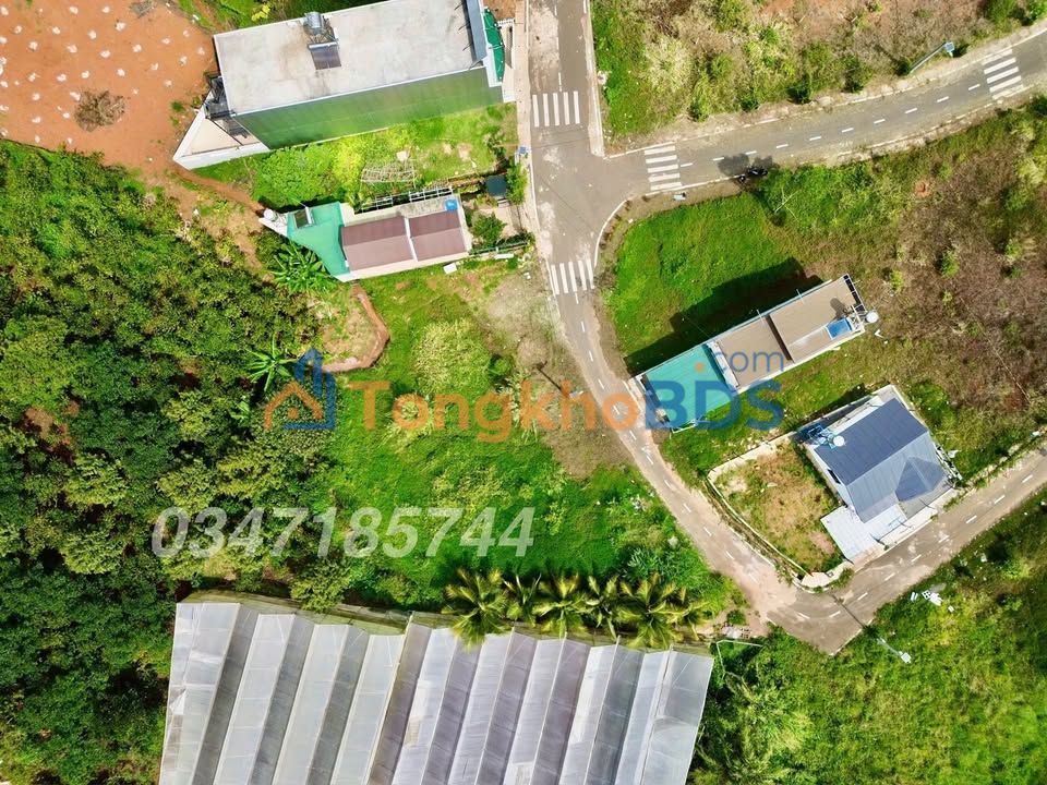 Đất nền Lộc An hẻm Thái Bình 1000m² 1.3 tỷ - Sổ đỏ