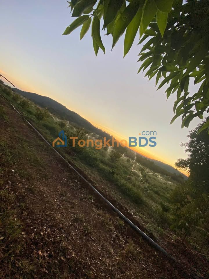 Đất nền Bàu Cạn Chư Prông 20ha 177,8 tỷ - Sổ đỏ chính chủ