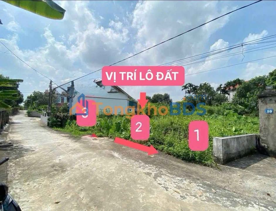 Đất nền Lâm Xá Hồng Thái Tây 173m² 600 triệu - Sổ đỏ