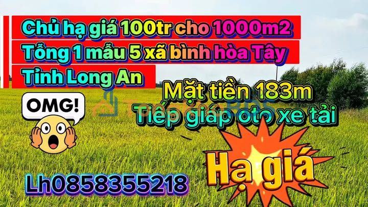 Đất nền Đức Hòa Hạ 1.000m² giá 100 triệu - Giá tốt