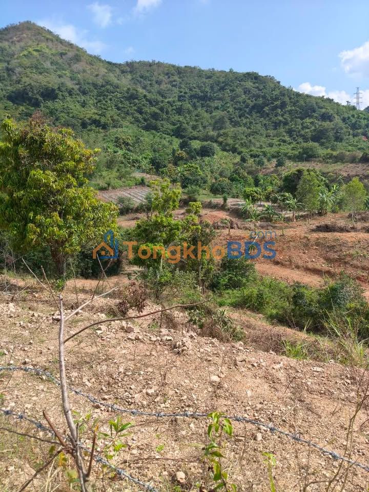 Đất Vĩnh Lương Nha Trang 8000m2 giá 4 tỷ - Sổ đỏ chính chủ