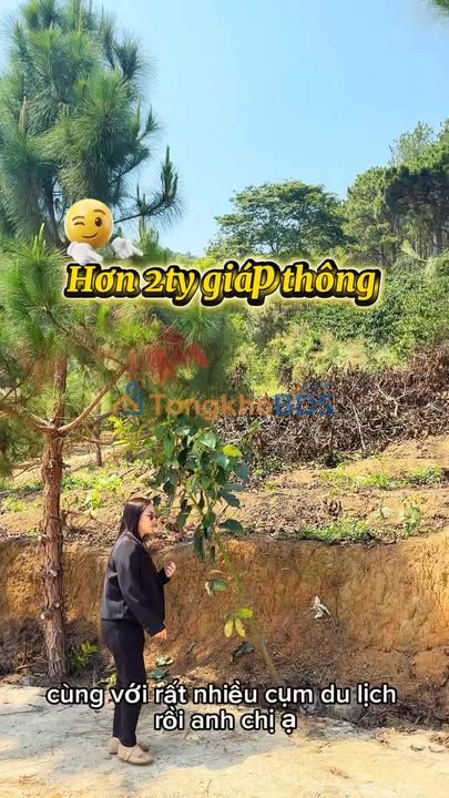 Đất Nam Ban Lâm Hà 895m² 2,65 tỷ - Tiềm năng tăng giá