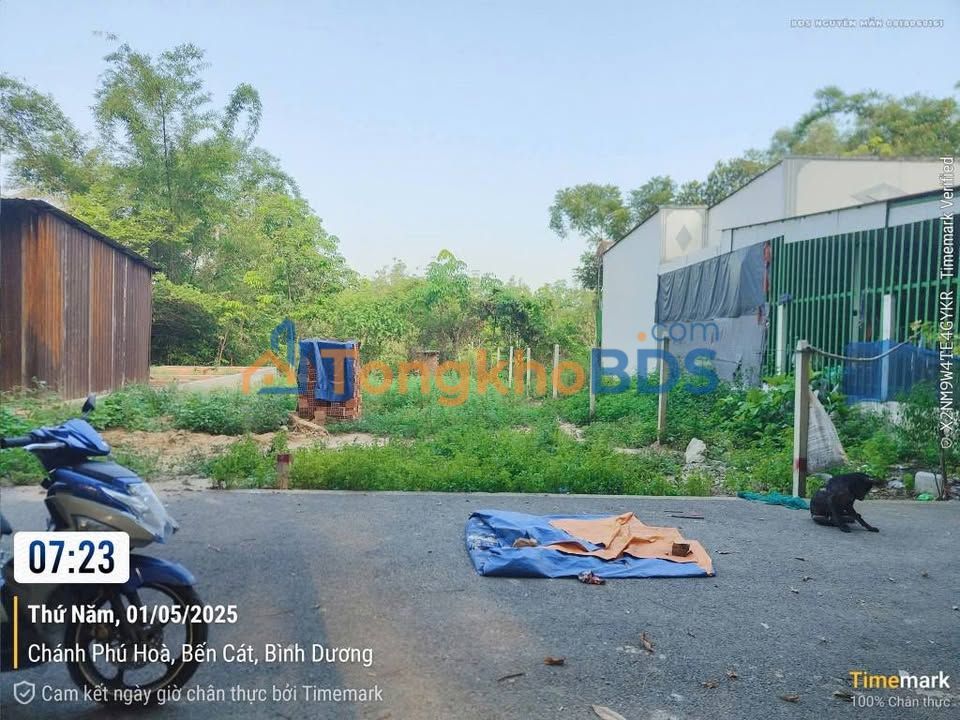 Đất Chánh Phú Hòa Bến Cát 115m²/1.2 tỷ - Giá tốt