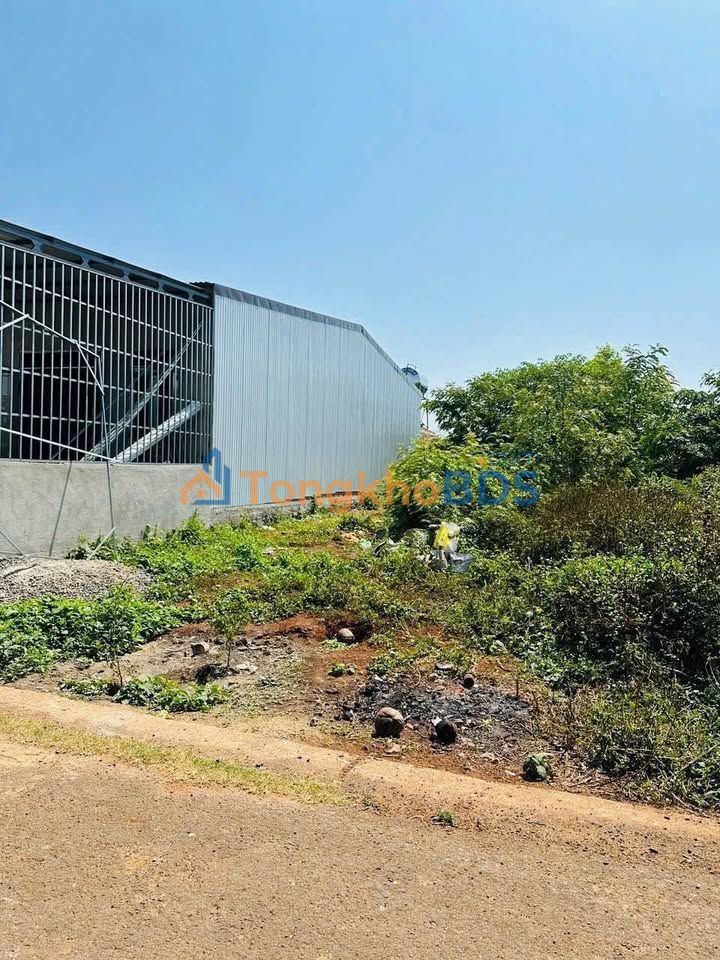 Đất Phường Ea Tam 125m² 545 triệu - Thổ cư 100%