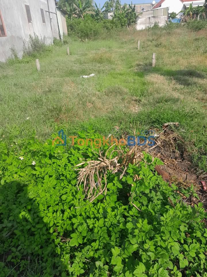 Đất Nghĩa Chánh Quảng Ngãi 120m² Sổ đỏ chính chủ