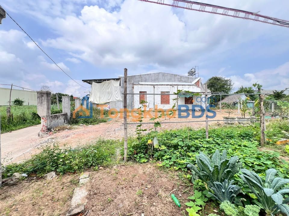 Đất nền Cộng Hòa 1 Quảng Ngãi 116m² 810 triệu - Sổ đỏ chính chủ