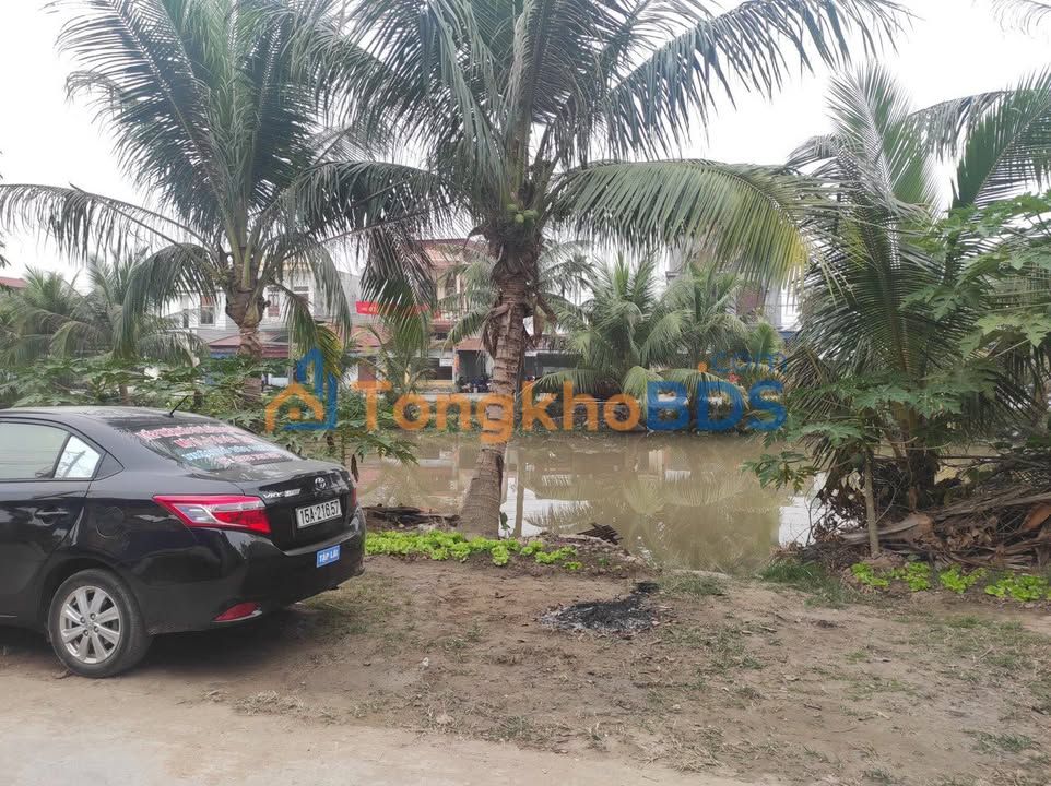 Đất nền Tiên Lãng Hải Phòng 442m² - Sổ đỏ chính chủ