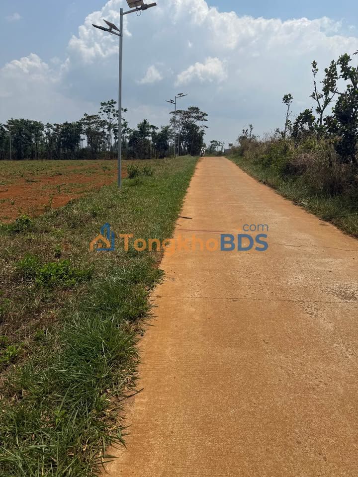 Đất nền Xã Kiến Thành 975m² 380 triệu - Sổ đỏ chính chủ