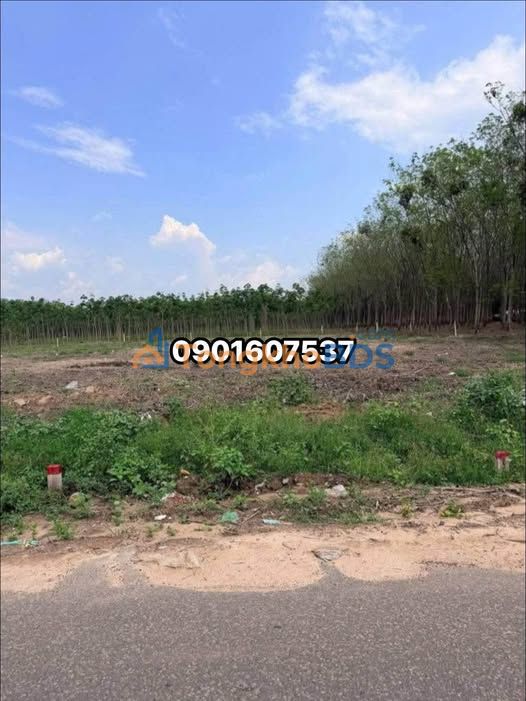 Đất nền Minh Lập 340m² 250 triệu - Đường to ô tô