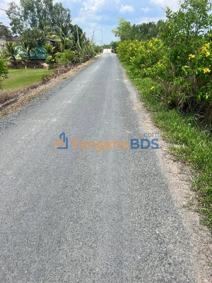 Đất vườn Thủy Đông Thạnh Hóa 3.000m² 900 triệu - Sinh thái xanh ven kênh