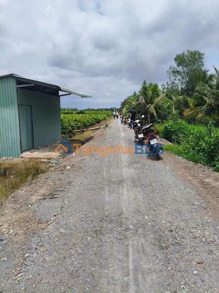 Đất Ấp 8 Lương Hòa 539m² 699 triệu - Sổ đỏ chính chủ