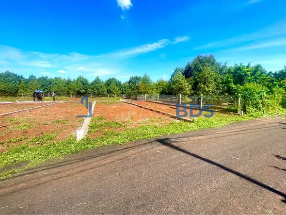 Đất nền Long Khánh 200m² 860 triệu - Sổ đỏ chính chủ