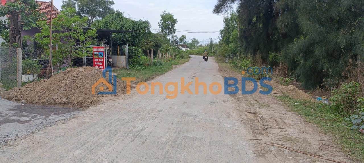 Đất nền Đại Cát 2 Ninh Phụng 954m² 1.25 tỷ - Tiềm năng tăng giá