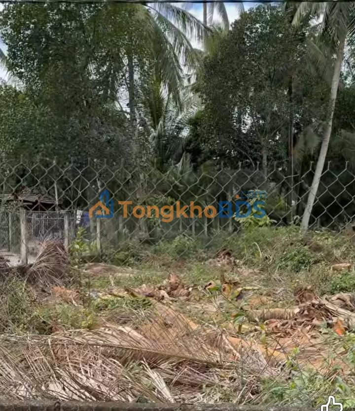 Đất nền Tam Quan Hoài Nhơn 150m² 400-499tr - Đường ô tô vào lô