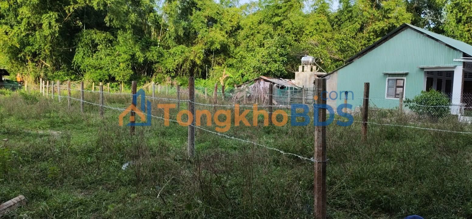 Đất Kiều Huyên Phù Cát 117m² - Sổ đỏ chính chủ