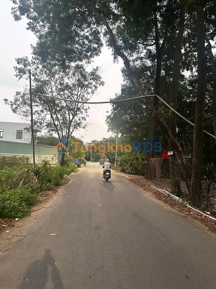 Đất Hòa Lợi 058 Củ Chi 250m² 1.6 tỷ - Sổ hồng rõ ràng