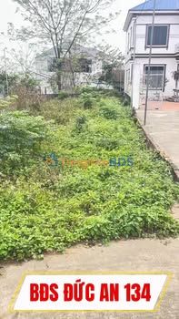 Đất Hiệp Hòa Bắc Giang 293m² 1 tỷ - Đường to ô tô