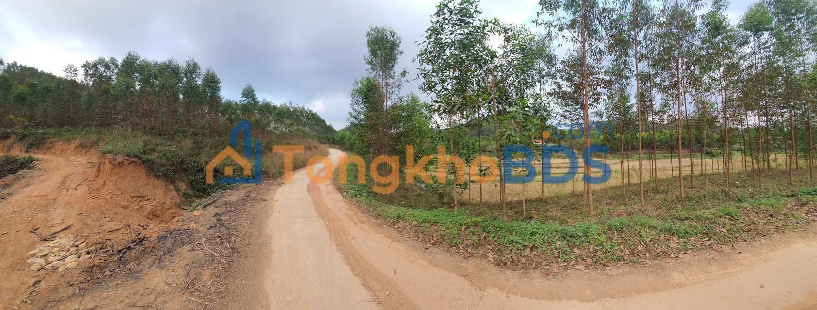 Đất nền Đồng Tiến Yên Thế 4000m², Sổ đỏ chính chủ