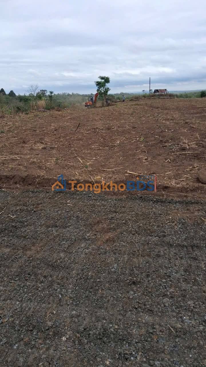 Đất vườn Tân Thành Buôn Ma Thuột 1.000m² 380 triệu - Sinh thái xanh