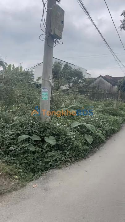 Đất nền Tây Sơn 243m² thỏa thuận - Đất thổ cư 100%