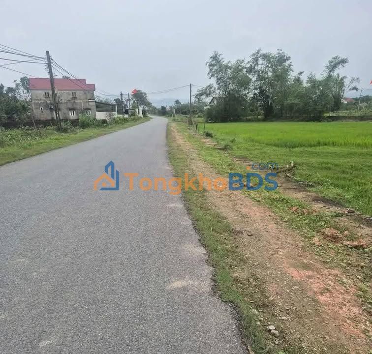 Đất Cẩm Sơn 320m² vài trăm triệu - Tiềm năng tăng giá