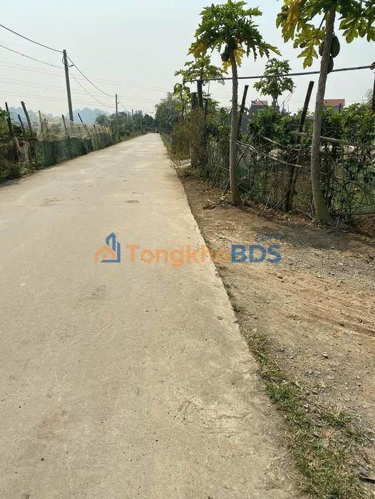 Đất nền Lạc Vân, Ninh Bình 152m² - Cơ hội đầu tư sinh lời