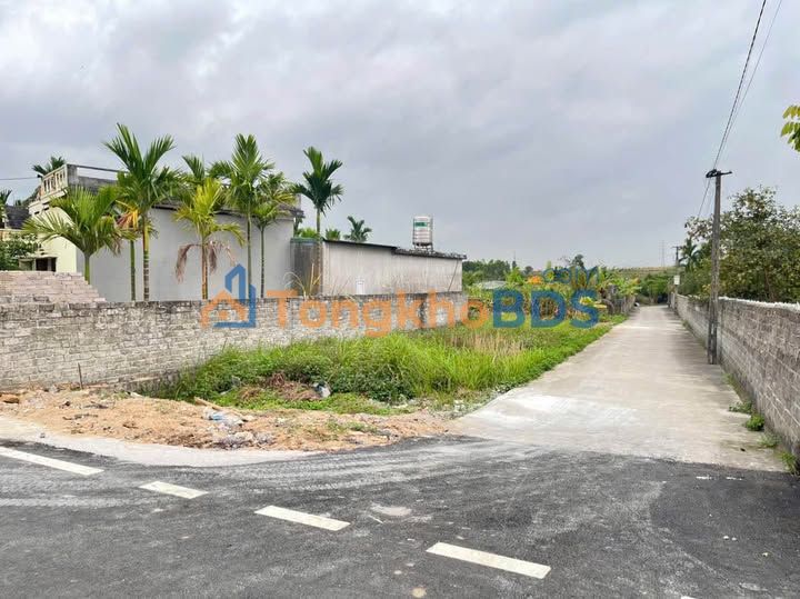 Đất nền Hồng Thái Đông 141m² 800-899 triệu - Đường to ô tô