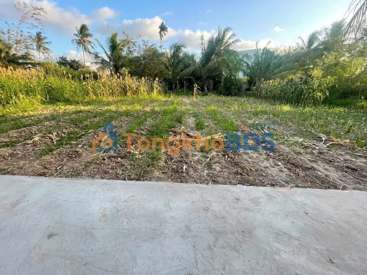 Đất nền Bạch Đằng Sóc Trăng 500m² 400 triệu - Sổ đỏ chính chủ