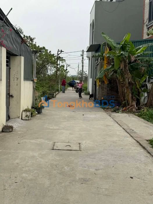 Nhà Quang Minh 55m² giá 3 tỷ - Ô tô vào tận nhà