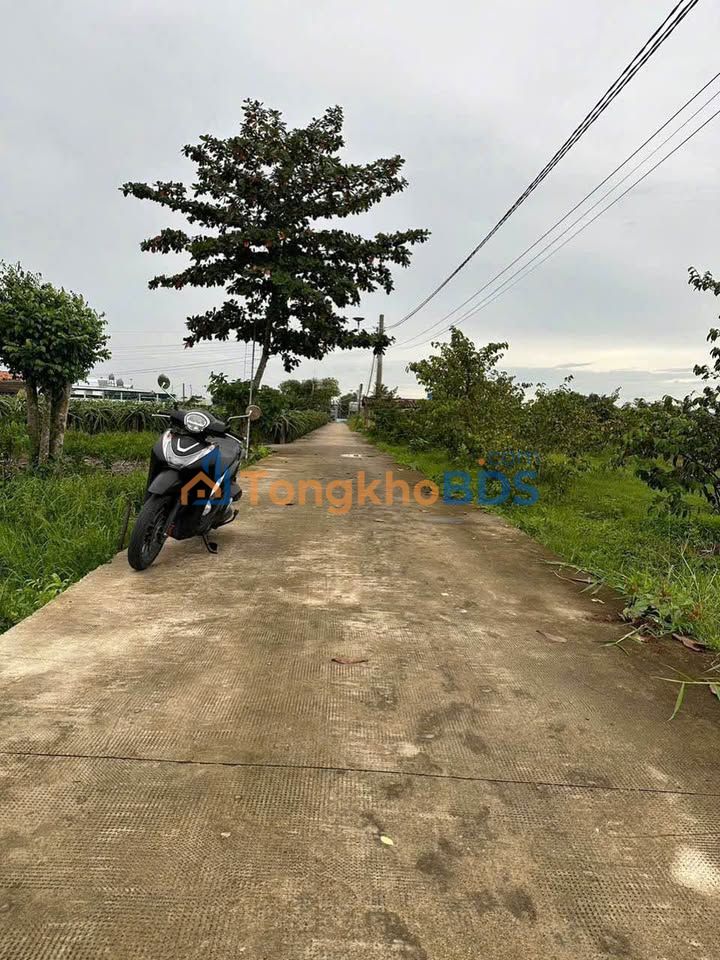 Đất nền Tầm Vu 1.399 tỷ 1.700m² - Sổ đỏ chính chủ