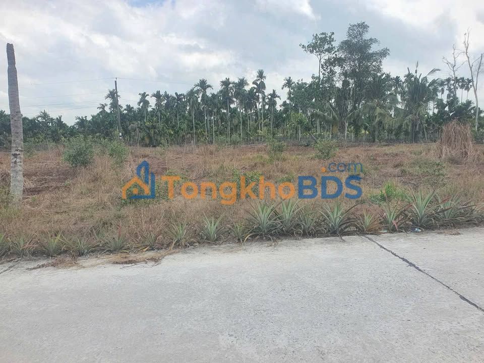 Đất nền Vĩnh Thành An Giang 150m² 2xx triệu - Đất thổ cư 100%