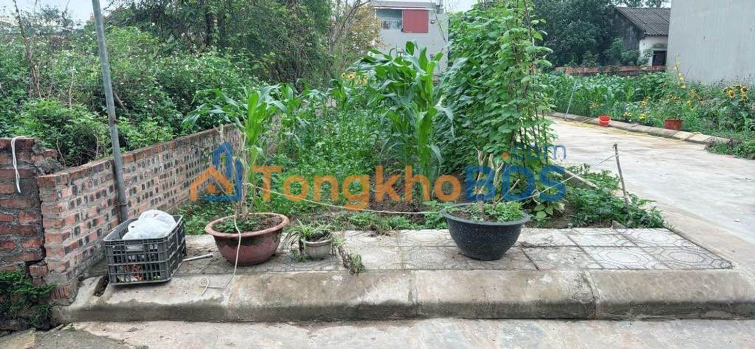 Đất nền Sóc Sơn 90m² 2.05 tỷ - Sổ đỏ chính chủ