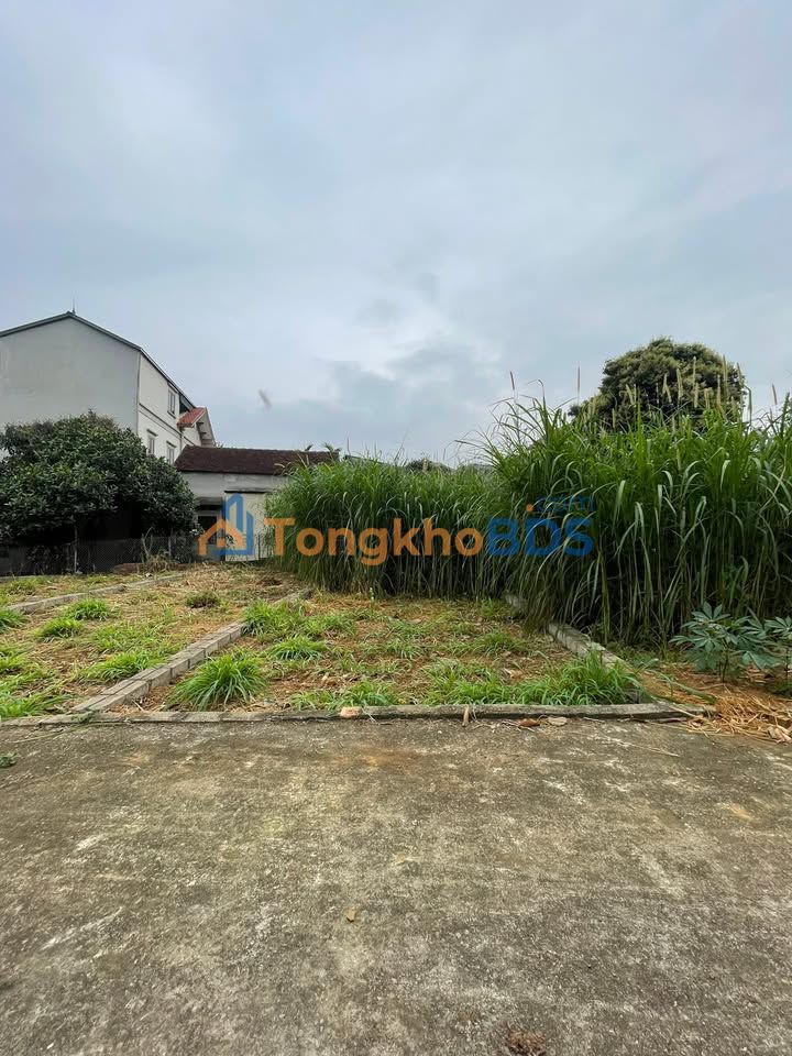 Đất nền Thôn 2 Hạ Bằng 65m² 2 tỷ - Sổ đỏ chính chủ