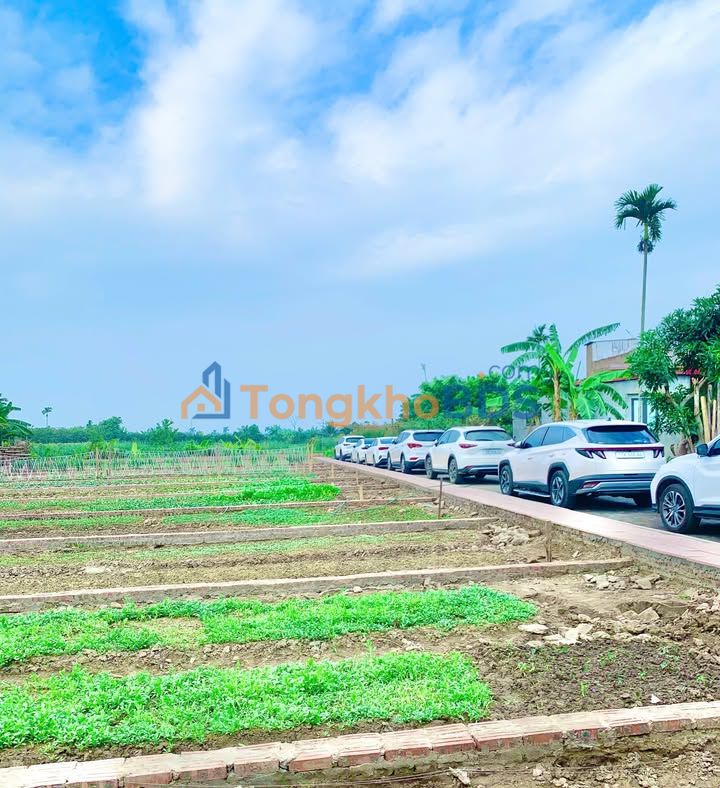 Đất nền An Hưng An Lão 82m² giá 0.8 tỷ - Đường to ô tô