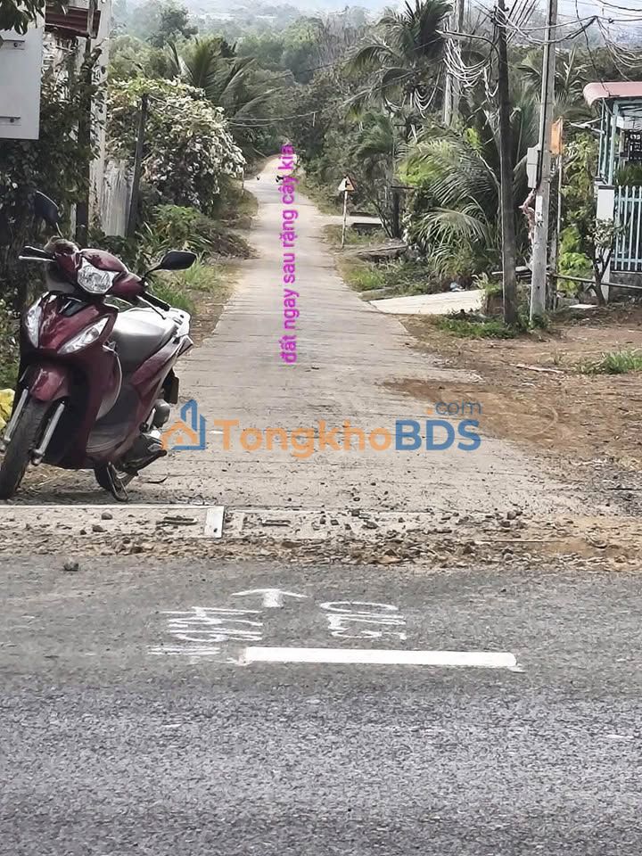 Đất nền Ea Nuôl Buôn Đôn 400m² 450 triệu - Đường to ô tô