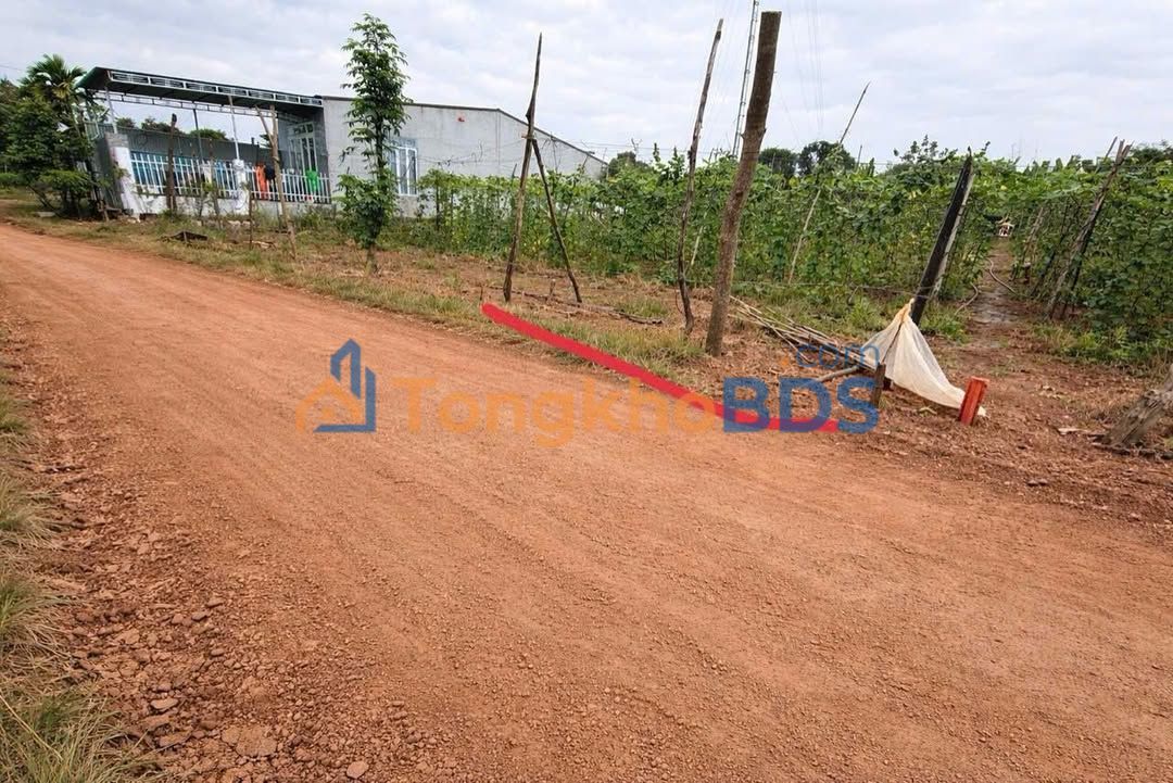 Đất nền Thôn 8 Cưêbur 175m² giá 730 triệu - Xây dựng tự do