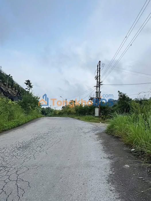 Đất nền Quang Trung 150m² giá 3xx triệu - Xây dựng tự do