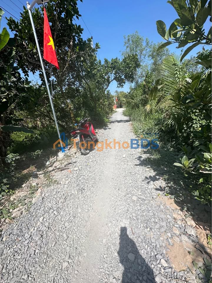 Đất nông nghiệp Lai Vung 9 công 5 300 triệu - Đầu tư dài hạn