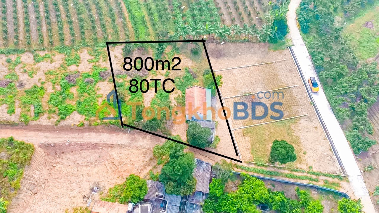 Đất vườn Bình Sơn Lục Nam 800m² 690 triệu - Đường ôtô vào