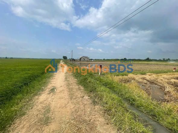 Đất nền Hàm Đức Hàm Thuận Bắc 1.076m² 250 triệu - Đường to ô tô