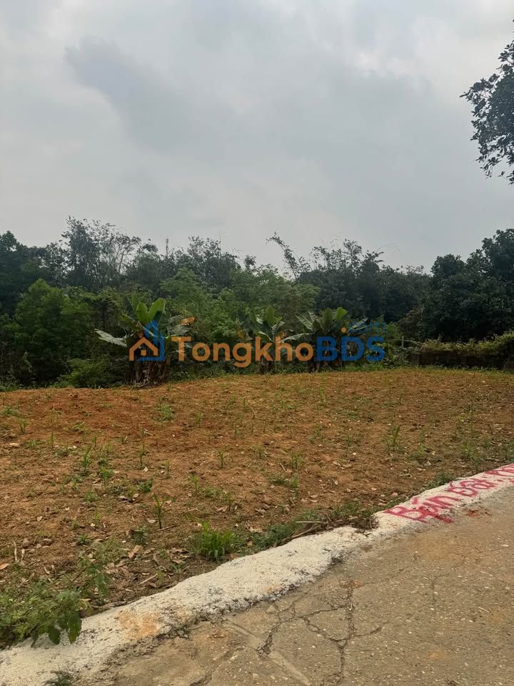 Đất phân lô Bãi Bằng 740m² 1.2 tỷ - Sổ đỏ chính chủ