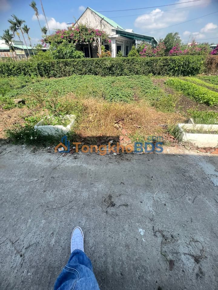 Đất nền Phước Hưng Tuy Phước 50m2 390 tr - Sổ đỏ chính chủ