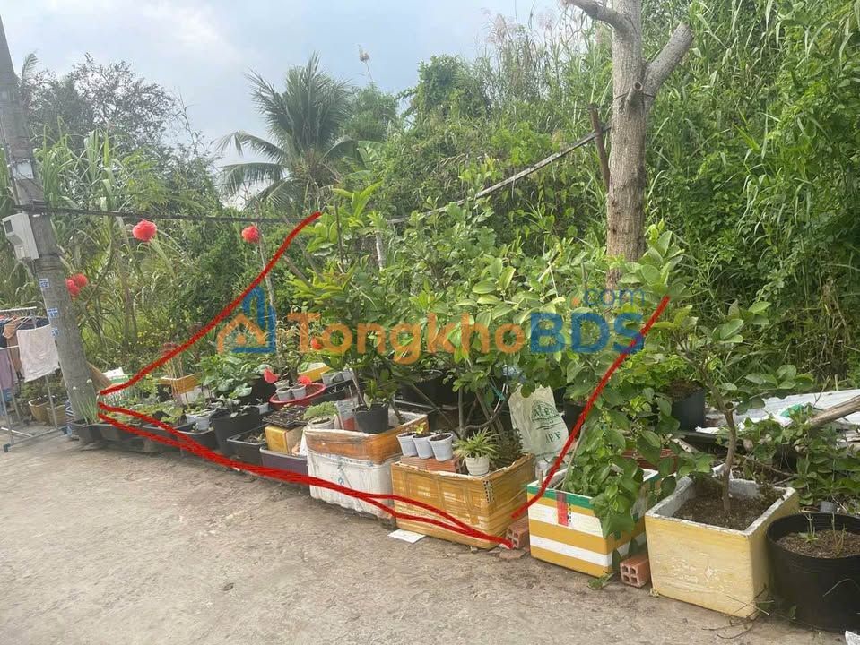 Đất nền Nguyễn Văn Linh Ninh Kiều 79m² 590tr - Đường ô tô