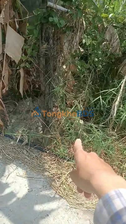 Đất nền Long Hưng Gò Công 434m² 870tr - Sổ đỏ chính chủ