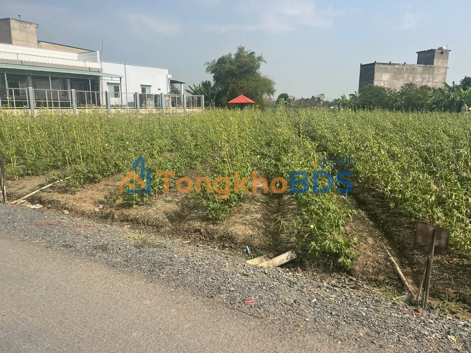 Đất nền Xóm Chồi Gò Công 180m² 790 triệu - Sổ đỏ chính chủ