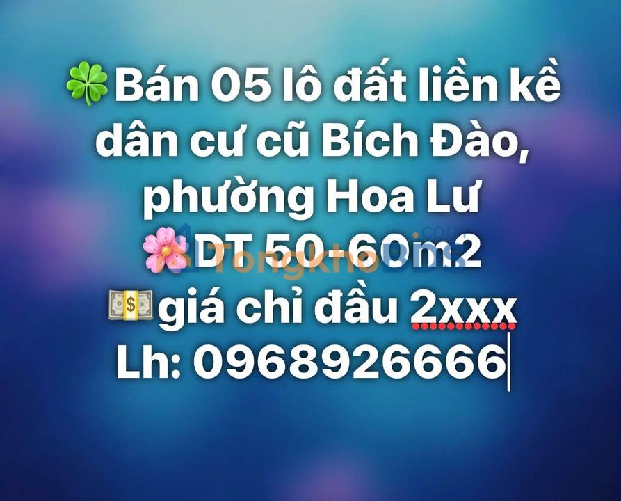 Đất nền Hoa Lư 55m² giá 2 tỷ - Sổ đỏ chính chủ