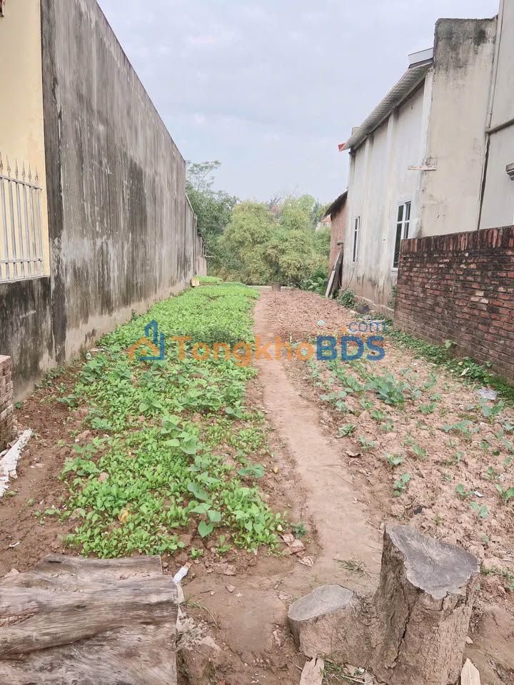 Đất nền Nam Viêm Phúc Yên 120m² 1 tỷ - Sổ đỏ chính chủ