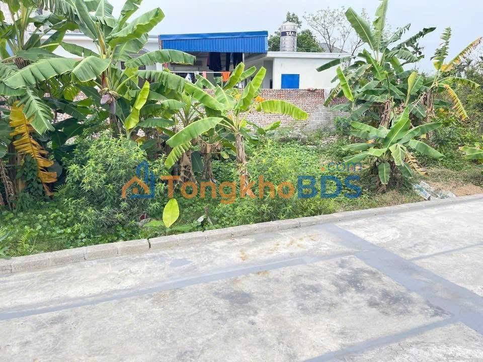 Đất nền An Lão, Hải Phòng 64m² 1 tỷ - Đường to ô tô