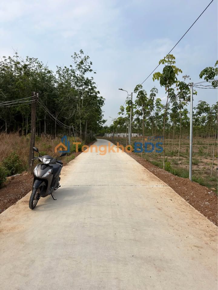 Đất nền Lai Uyên Bàu Bàng 553m² 950 triệu - Sổ đỏ chính chủ