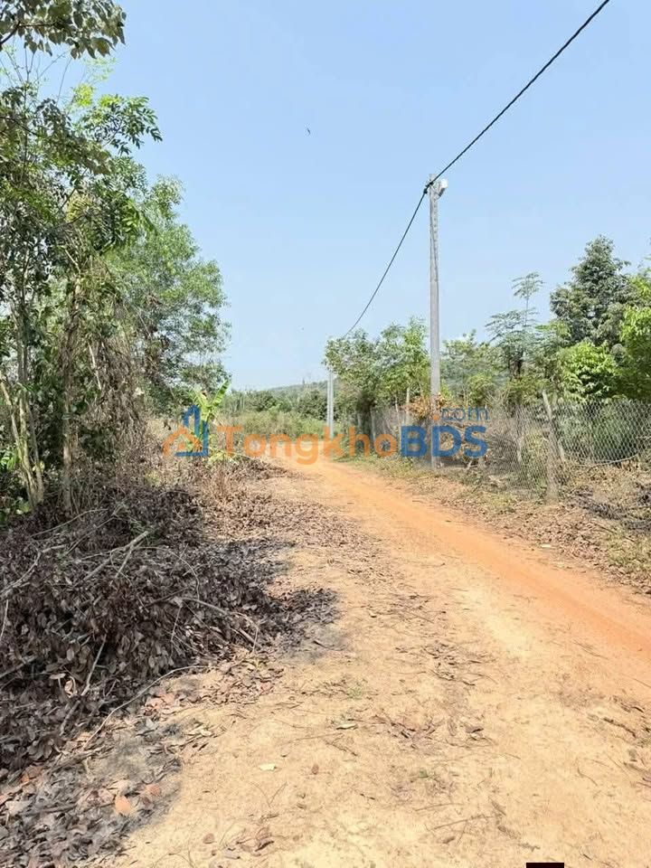 Đất vườn Phú Xuân Tân Phú 9770m² giá 1,6 tỷ - Sinh thái xanh